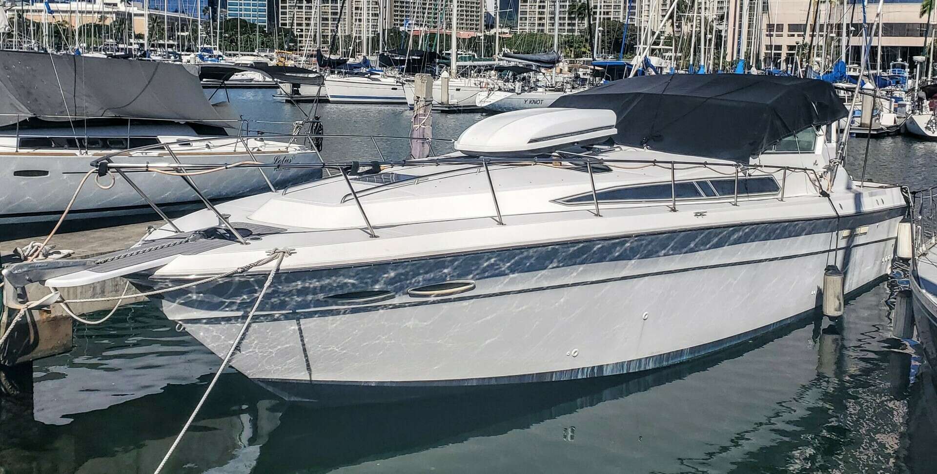 1989 Sea Ray 390 Express Cruiser - Image 2