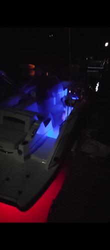 2014 Chaparral 224 Sunesta boat with blue interior lights at night.