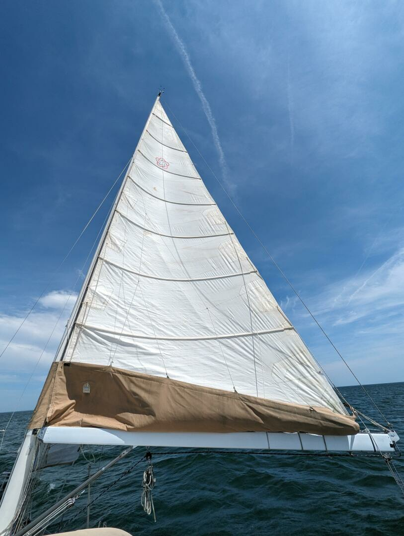 1989 Freedom 45 CC - Image 10