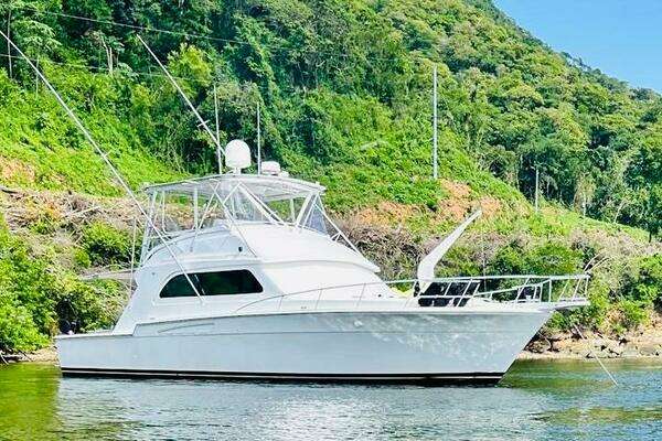 1988 Bertram 54'