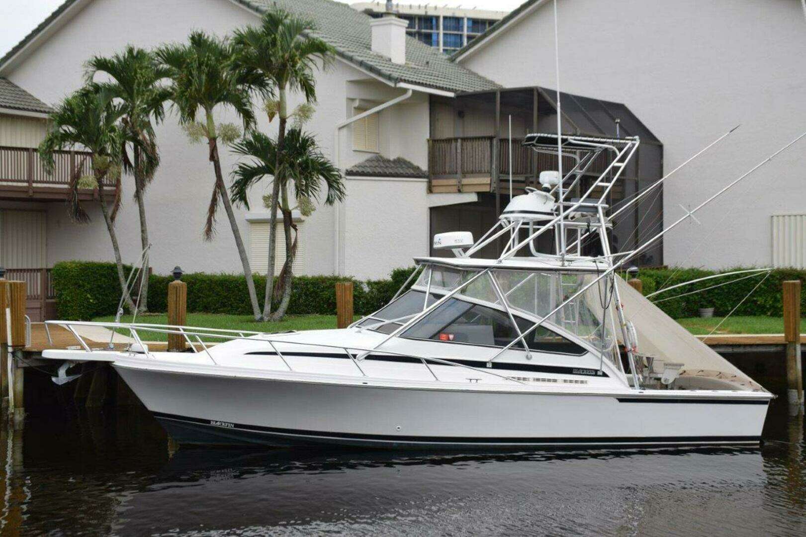 1995 Blackfin Combi 33 - Image 2