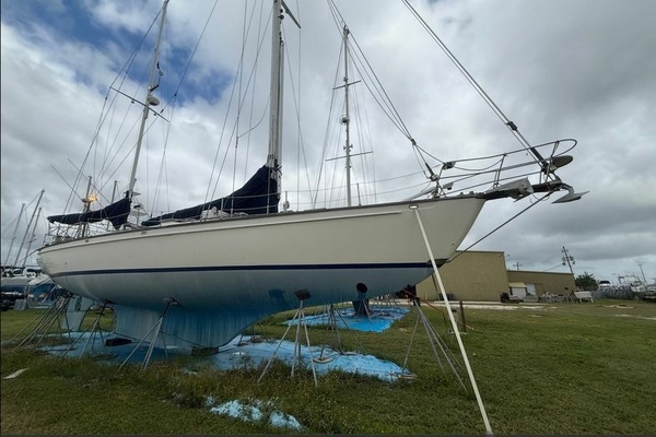 1981 Shannon 50