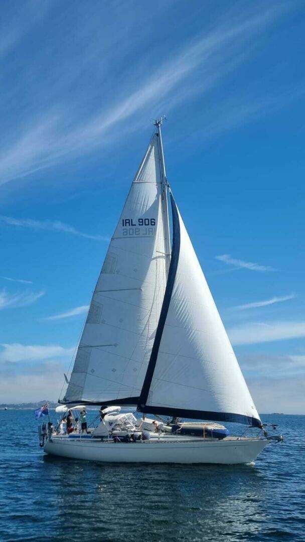 1984 Sigma 41 - Image 2