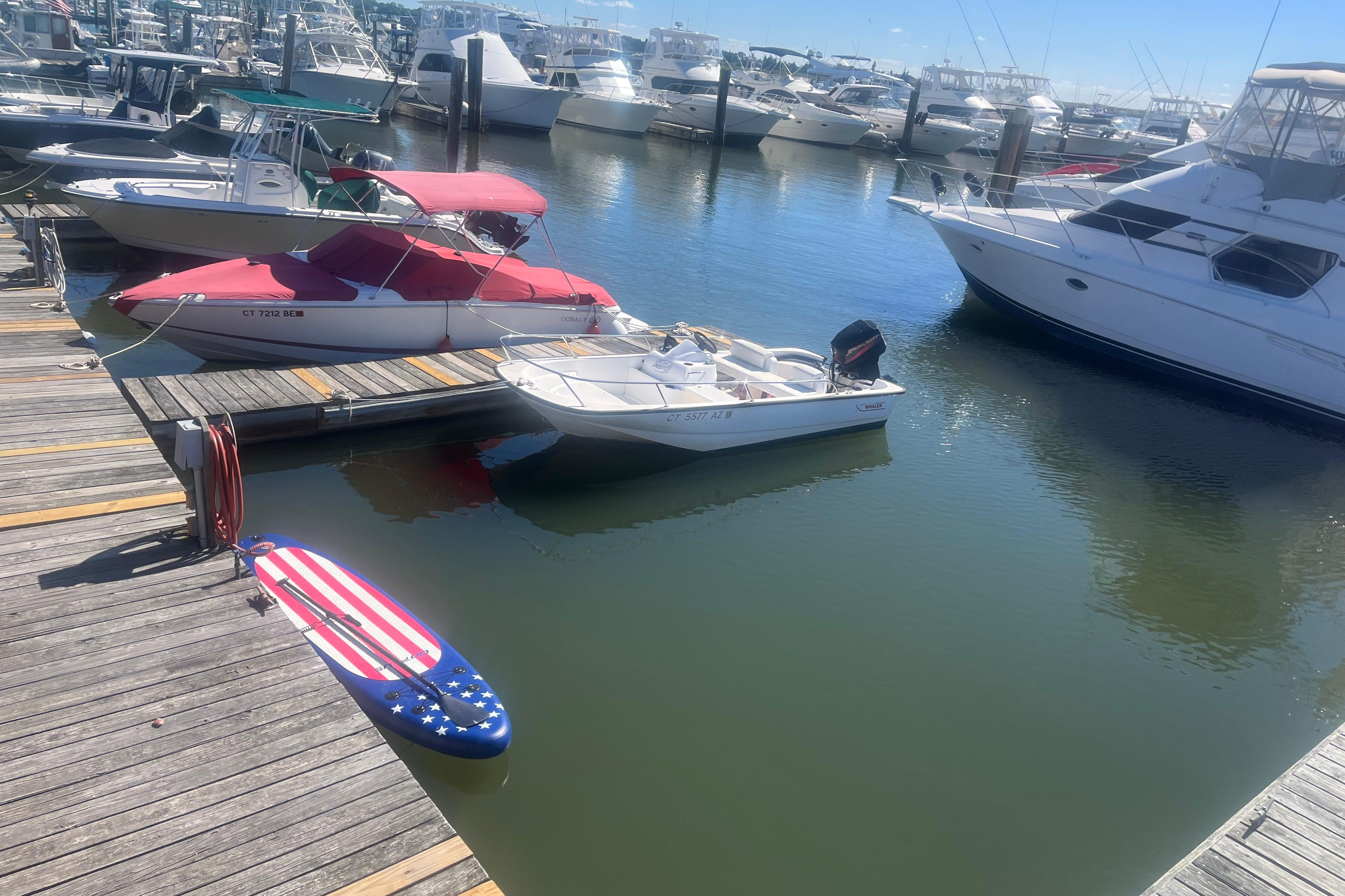 Boats docked at marina, featuring a 2011 Cobalt 210 and American flag-themed paddleboard.