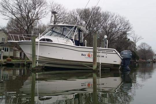 2002 Grady-White Marlin 300