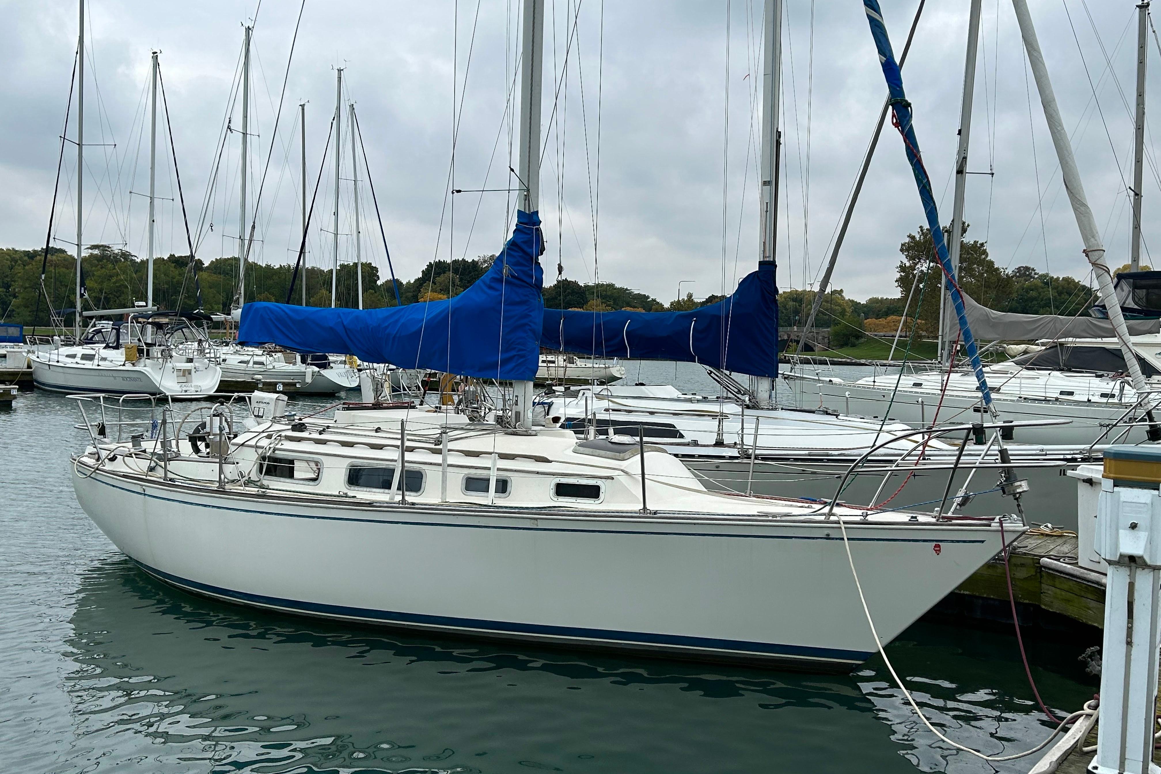 1981 Sabre 30