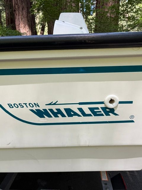 Close-up of a Boston Whaler boat with logo, surrounded by trees.