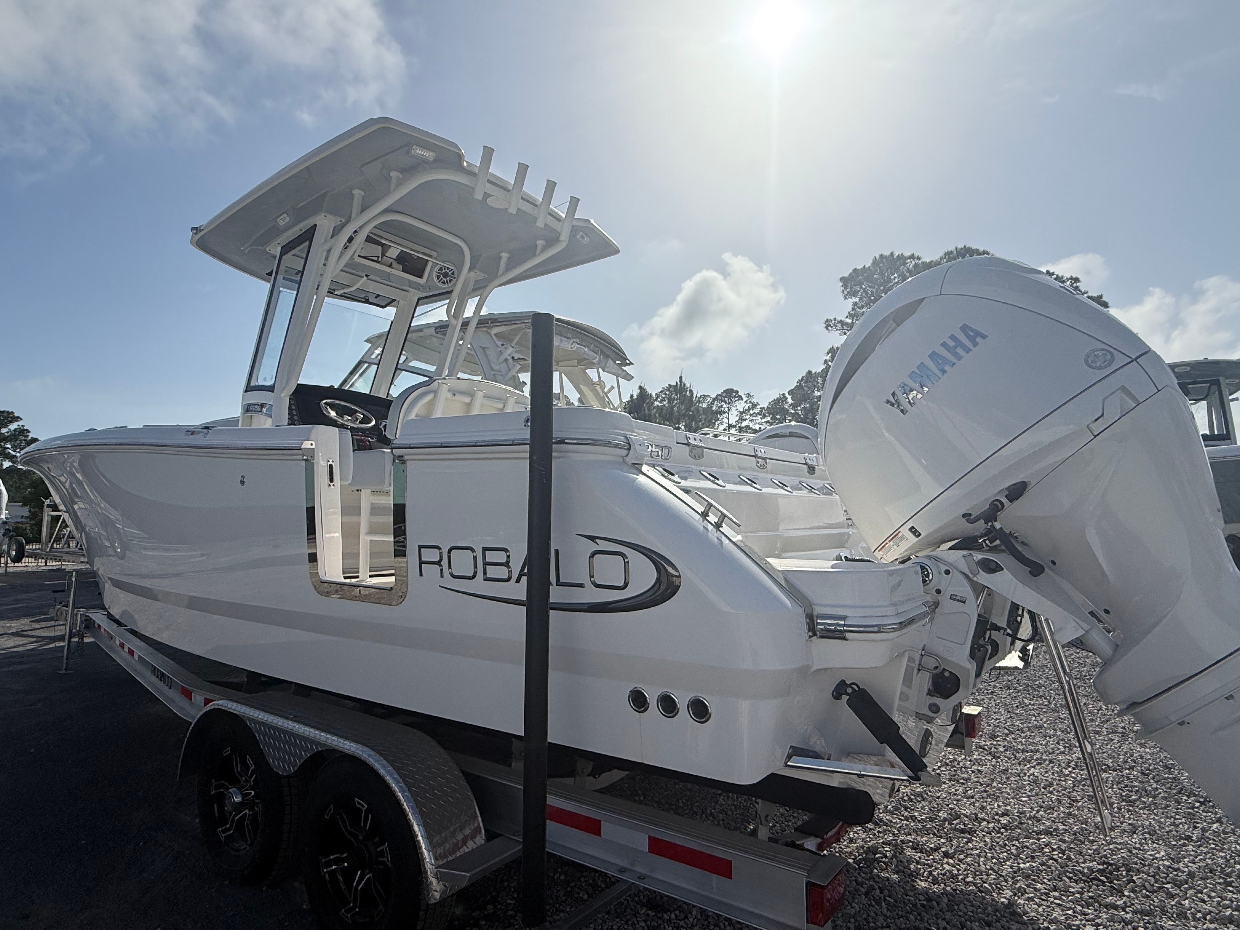 2025 ROBALO 250 CC - Image 3