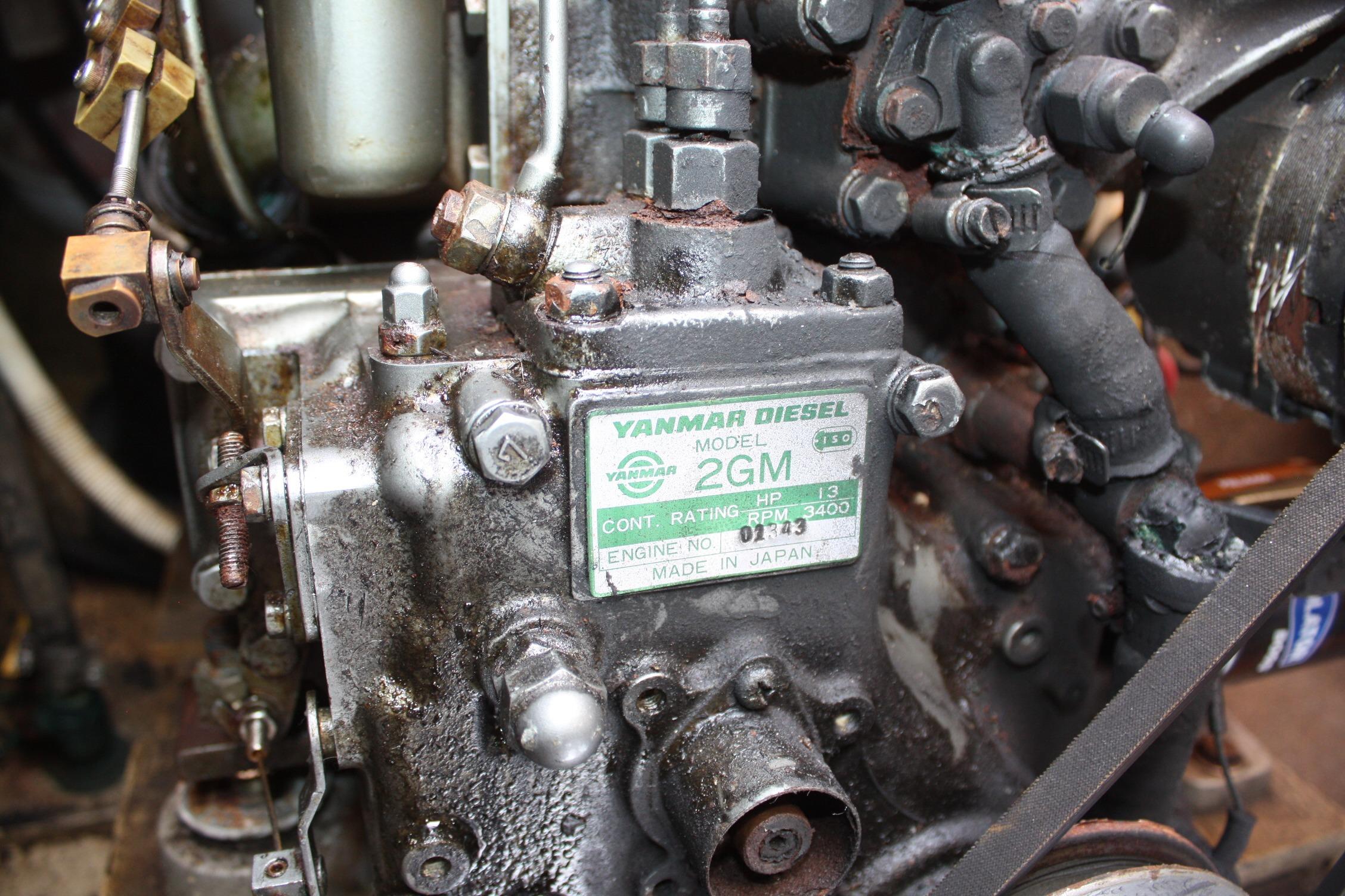 Close-up of a Yanmar Diesel 2GM engine, showcasing mechanical components and label details.