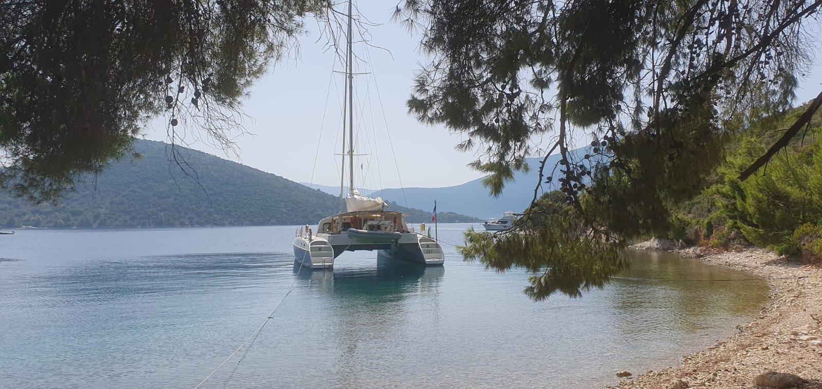 Catamaran NIMBLE 50 (2001) anchored in serene bay, surrounded by lush greenery.