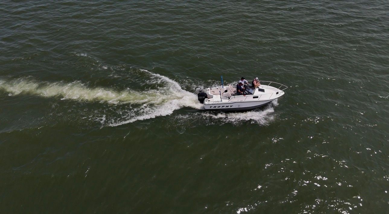 1995 Bayliner Trophy - 4