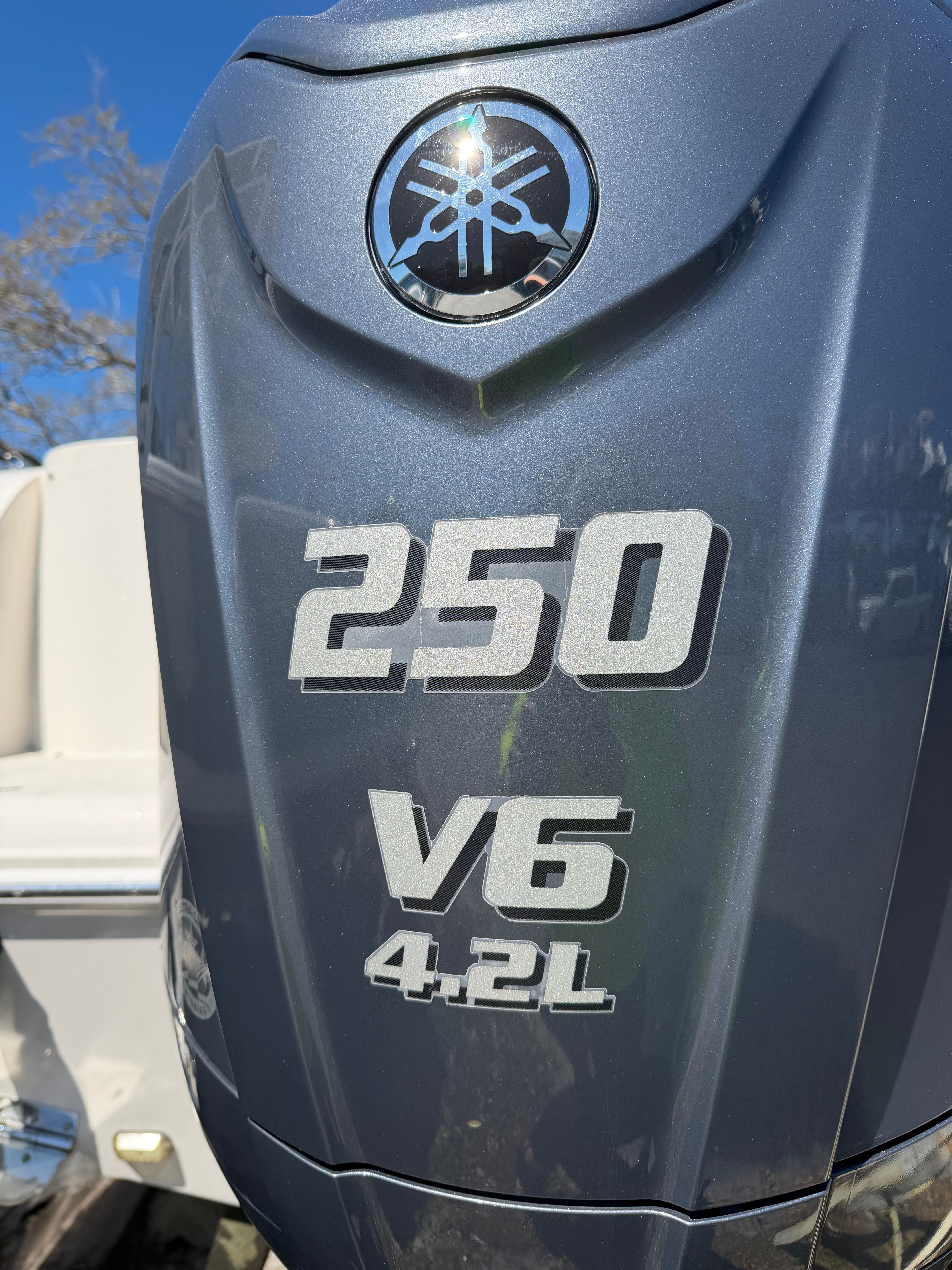2023 Sailfish 245 DC - 3