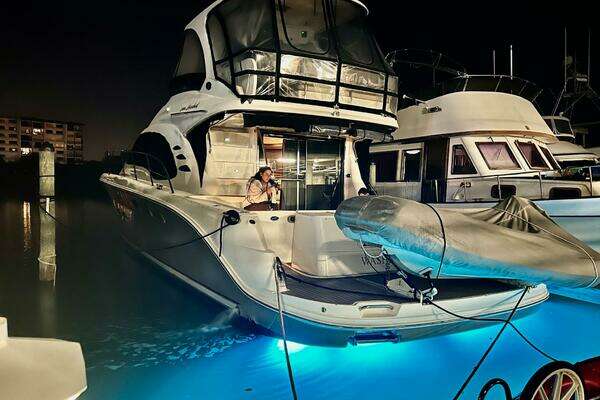 2005 Sea Ray 500 Sedan Bridge