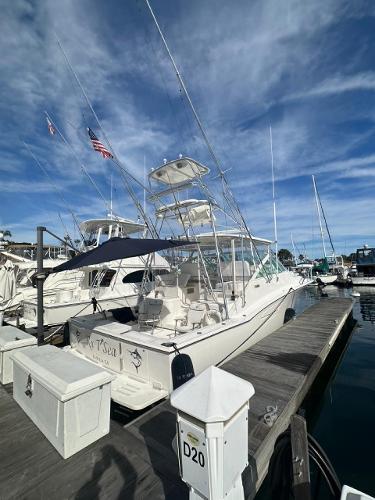 2008 Cabo 38 Express - 5