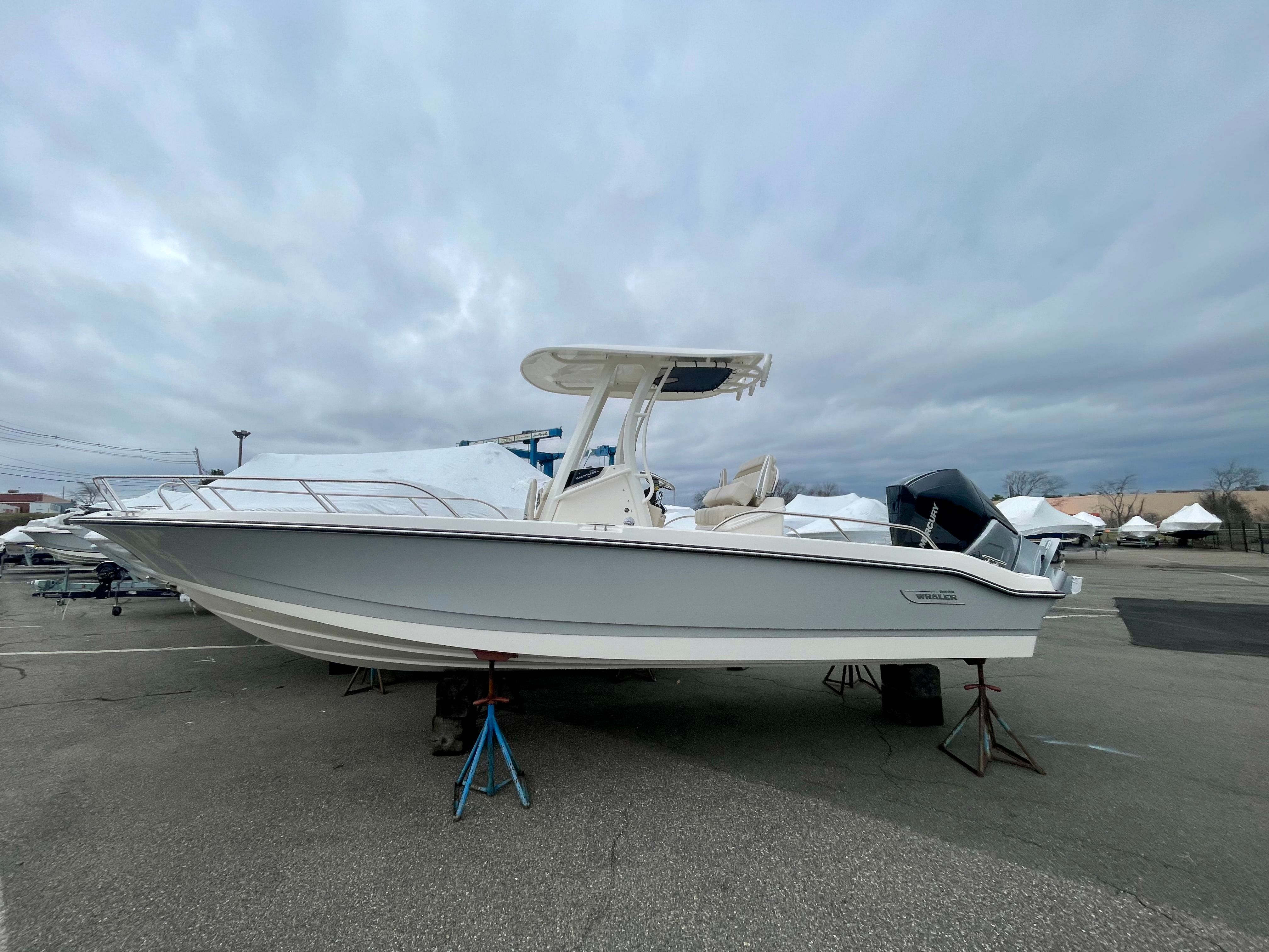 2026 Boston Whaler 250 Dauntless