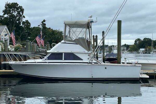 1972 Bertram 28 Flybridge