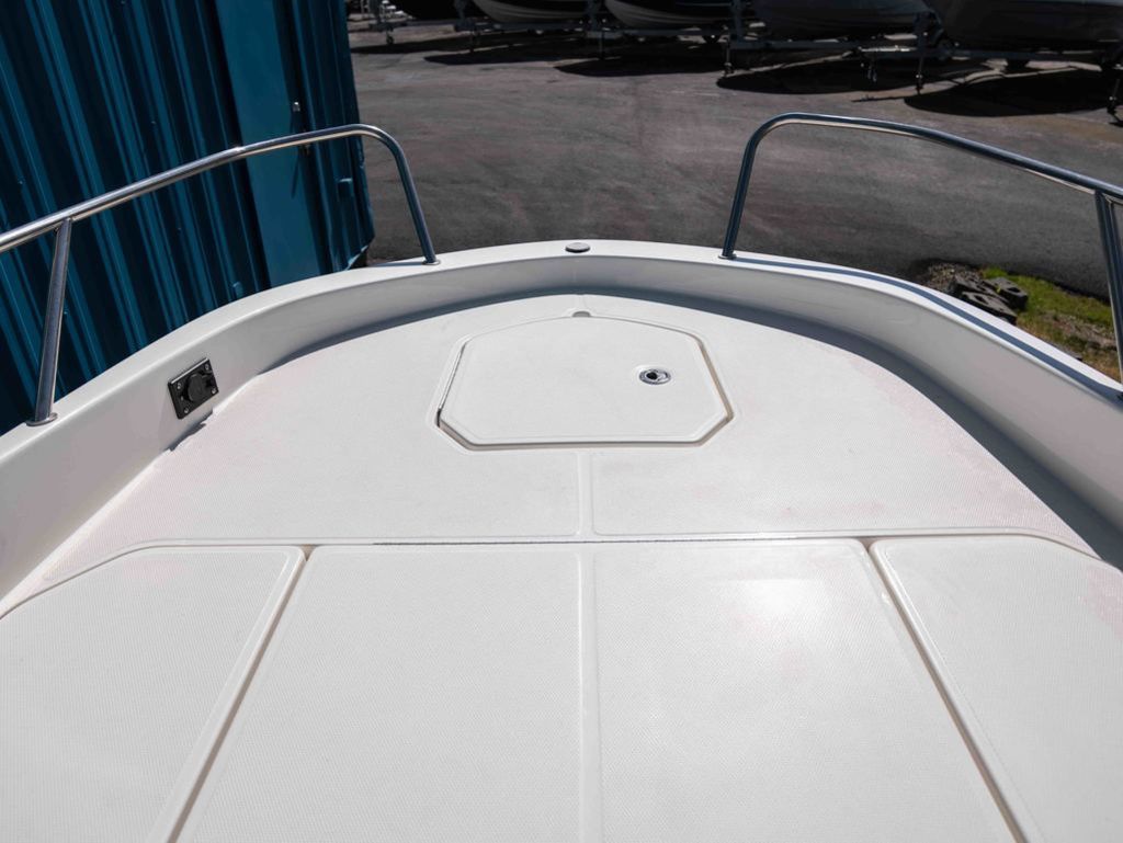 2019 Bayliner Element F21 - 12