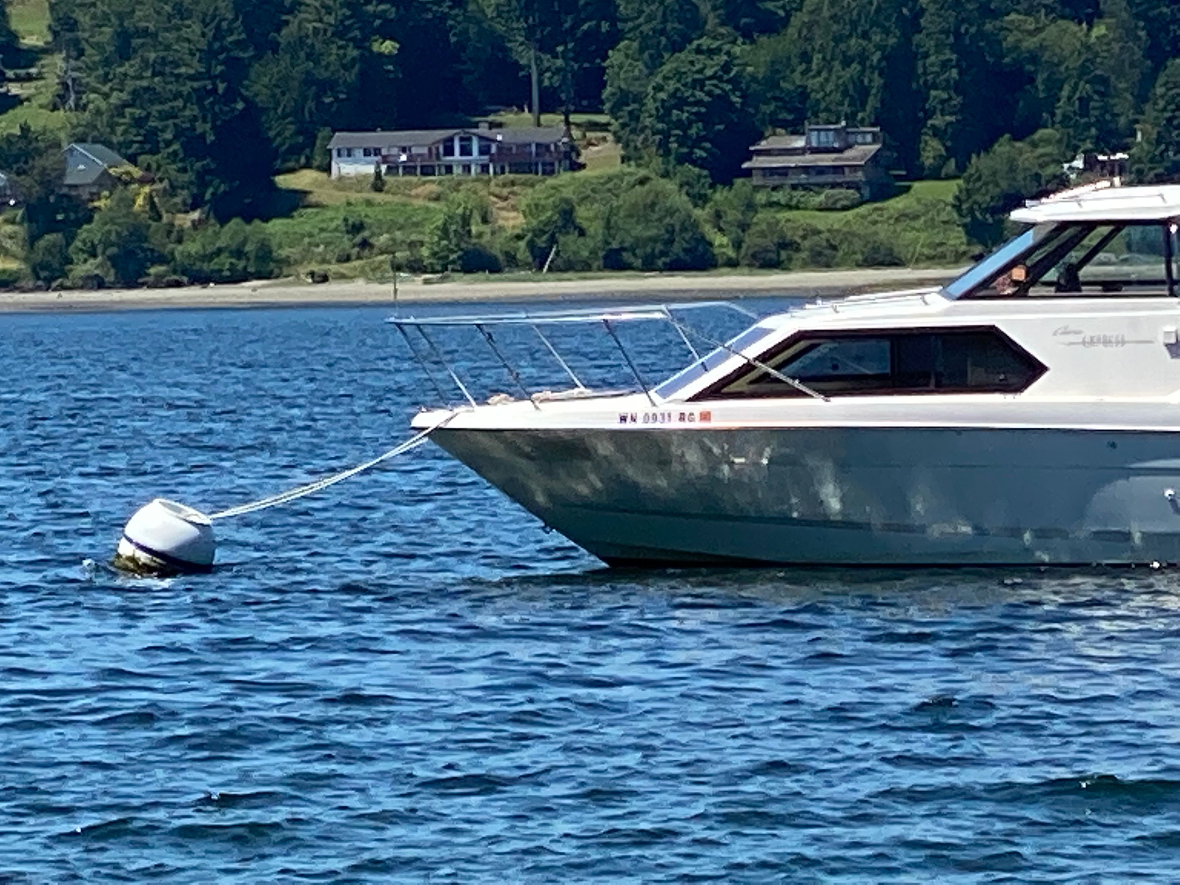 1997 Bayliner 2452 boat anchored on calm water.
