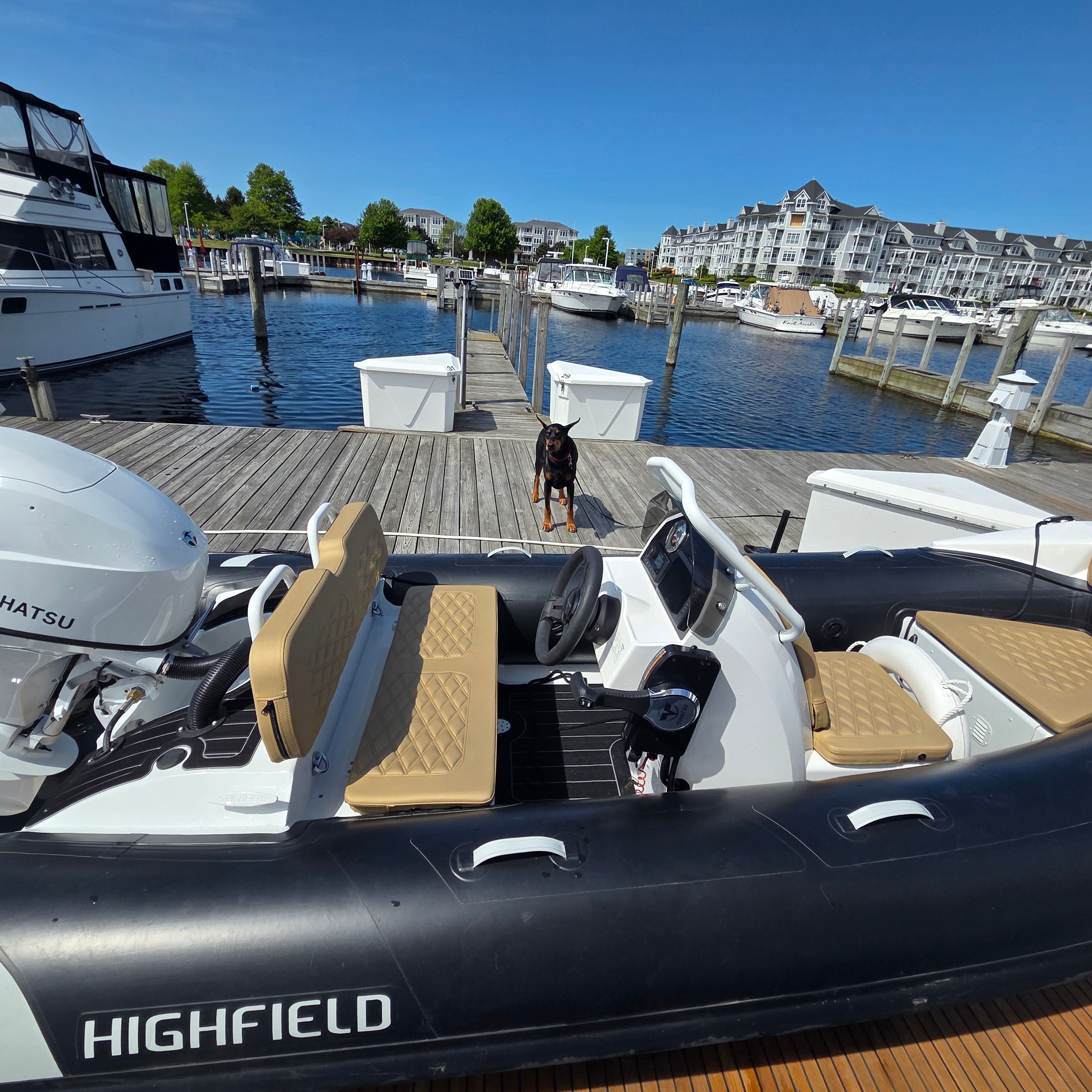 2024 Highfield Sport 390 boat at dock with dog.