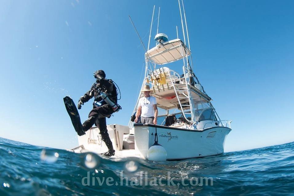 Diver jumps from 1999 Albemarle 305 Express Fisherman boat into the ocean.