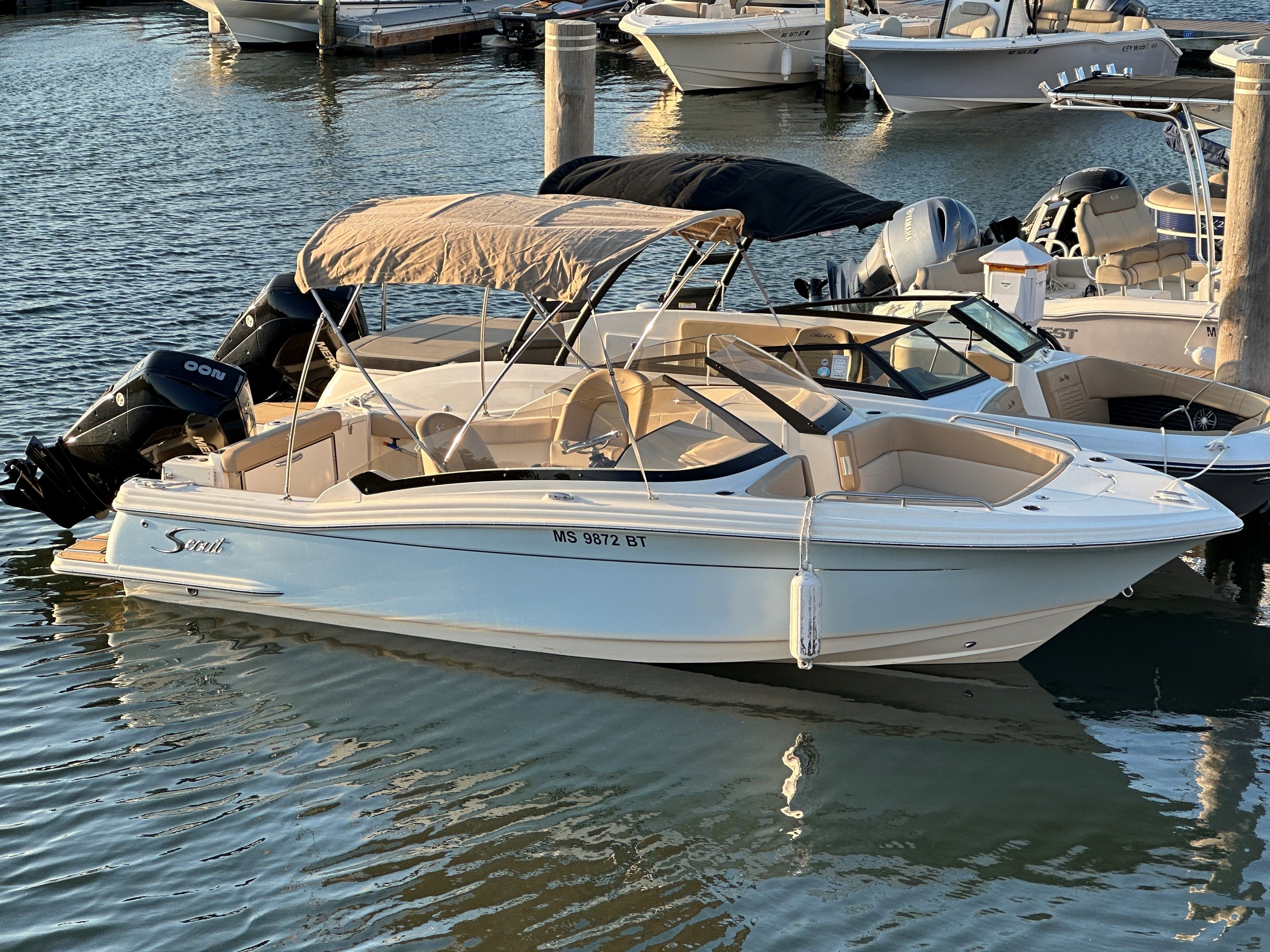 2023 Scout 215 Dorado