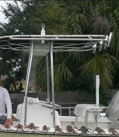 2002 SeaCraft SC 20 Master Angler - 9