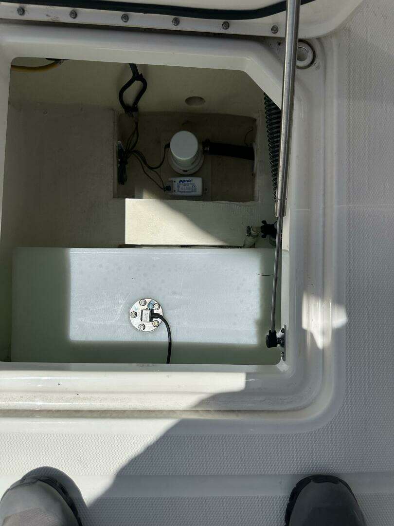 2024 World Cat 280CCX - Image 51