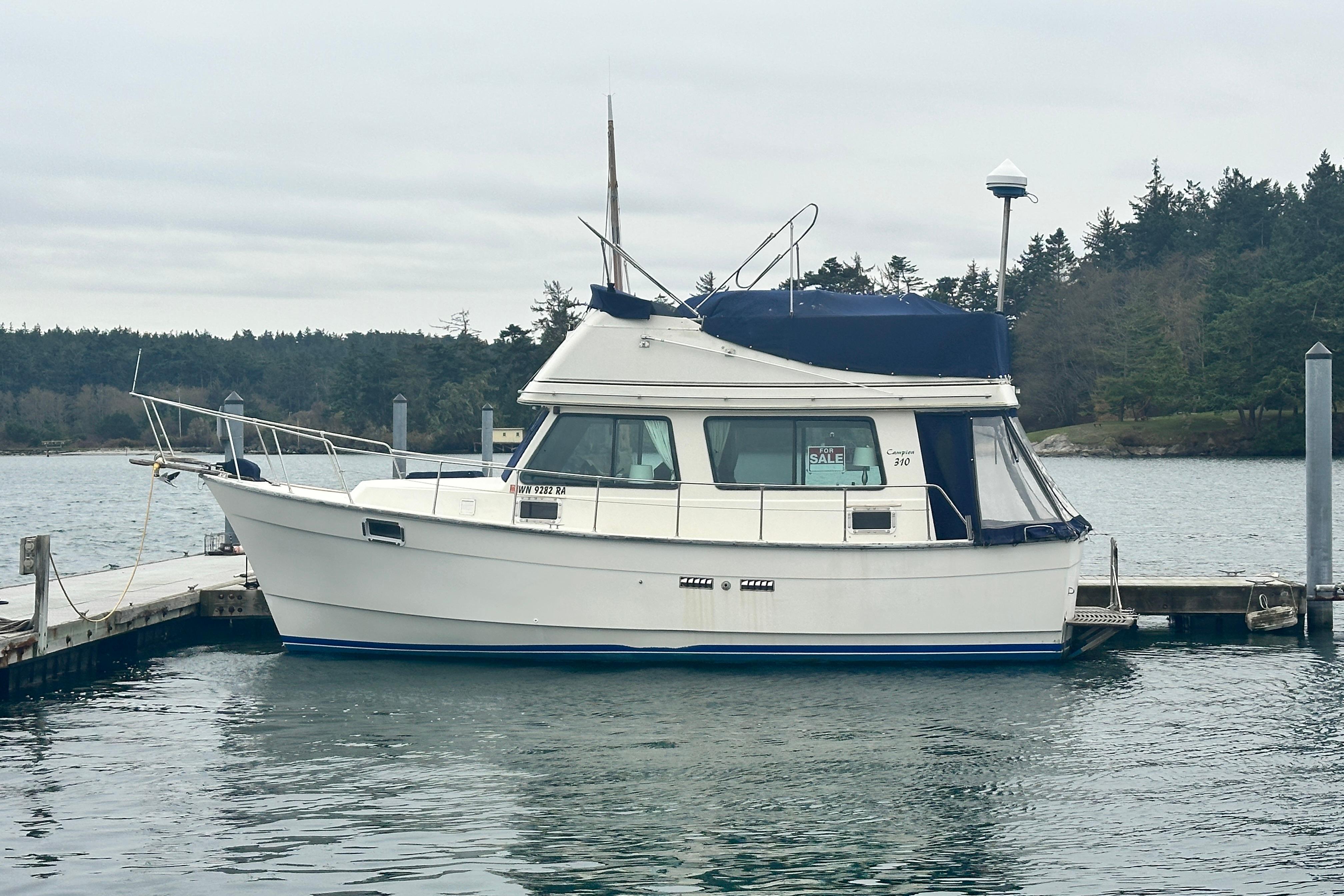 1982 Campion 310