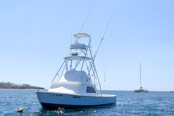 1973 Bertram Sportfisher