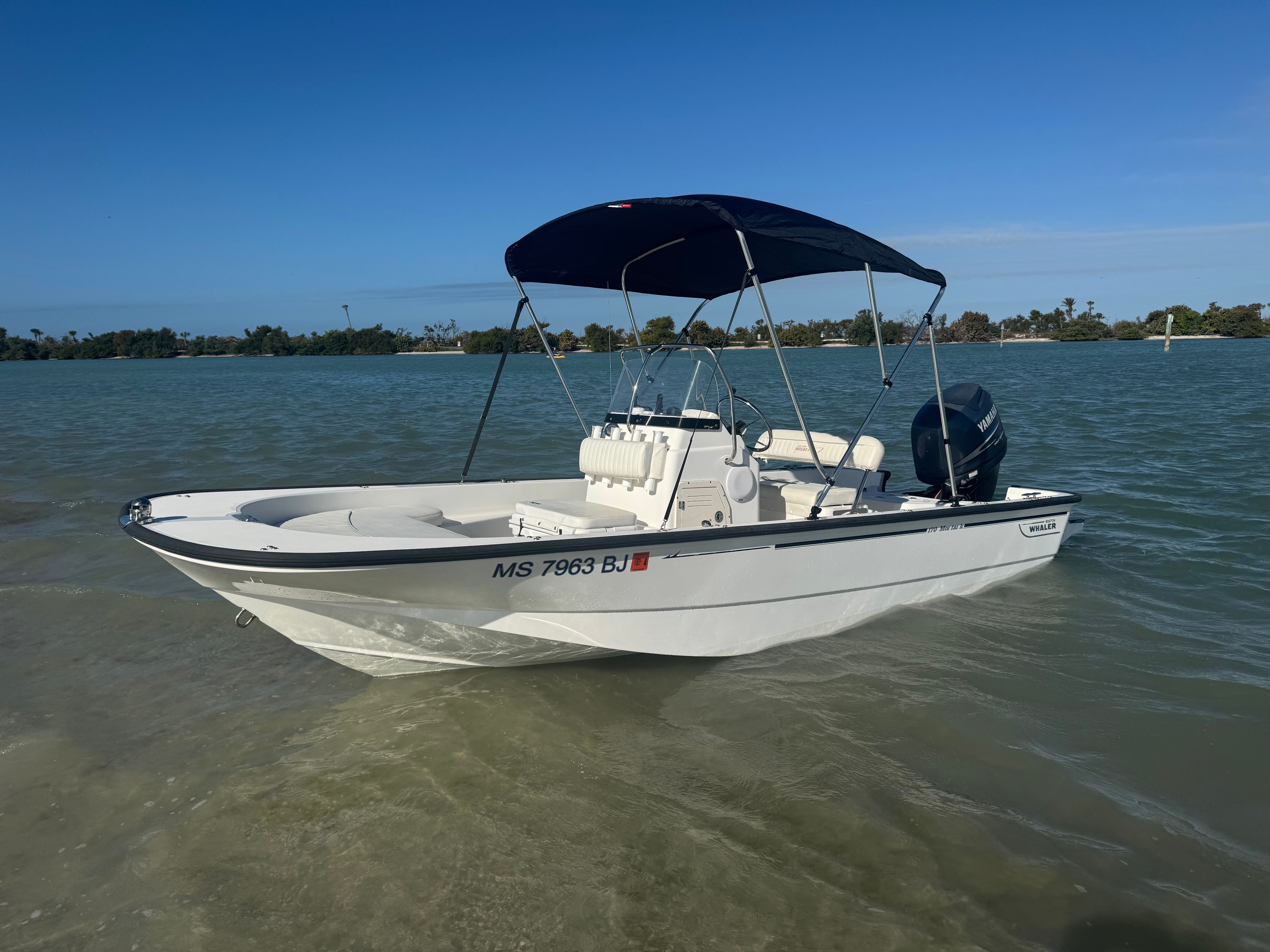 2010 Boston Whaler 170 Montauk - 5