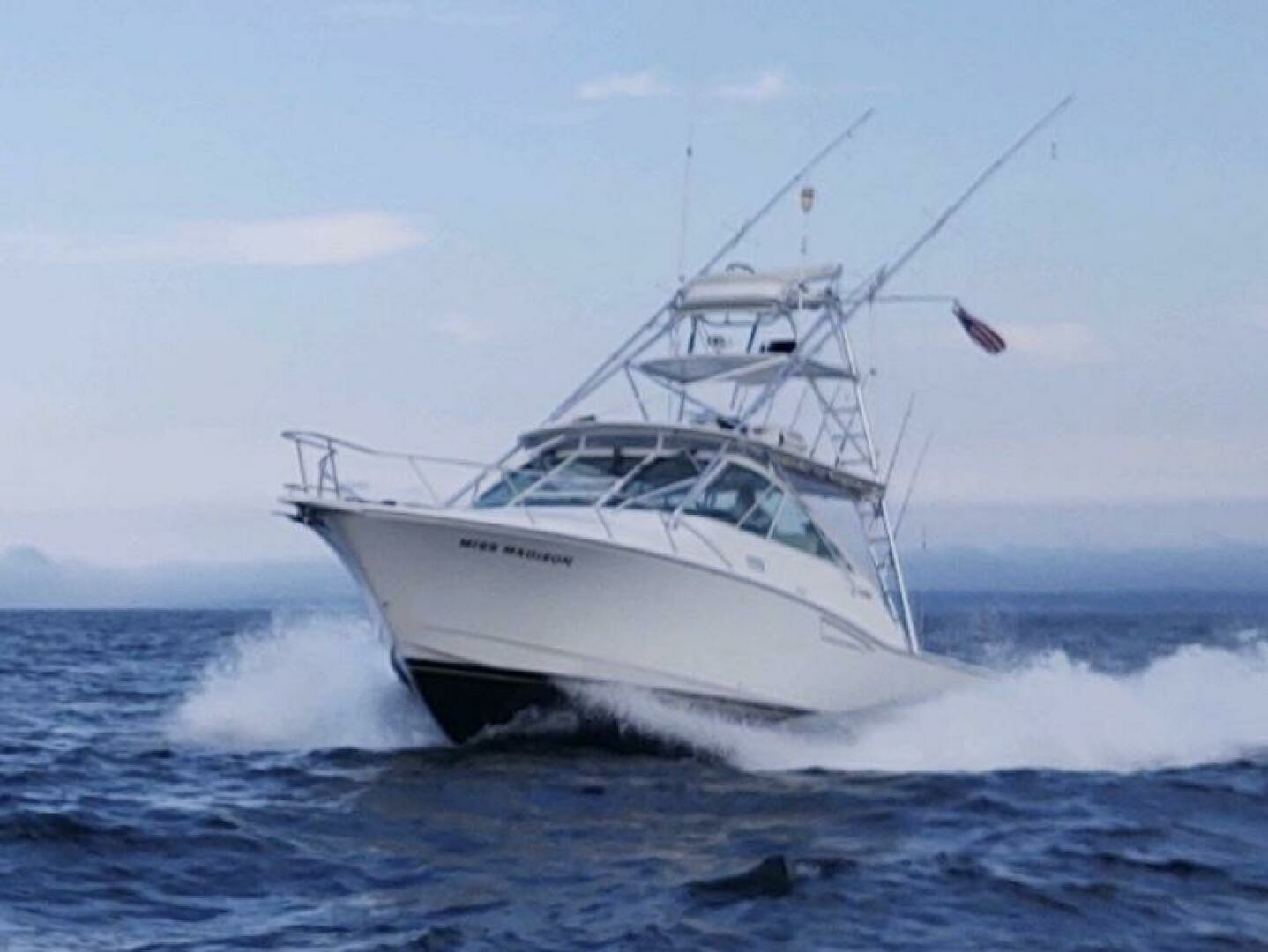 2003 Cabo Express - Image 3