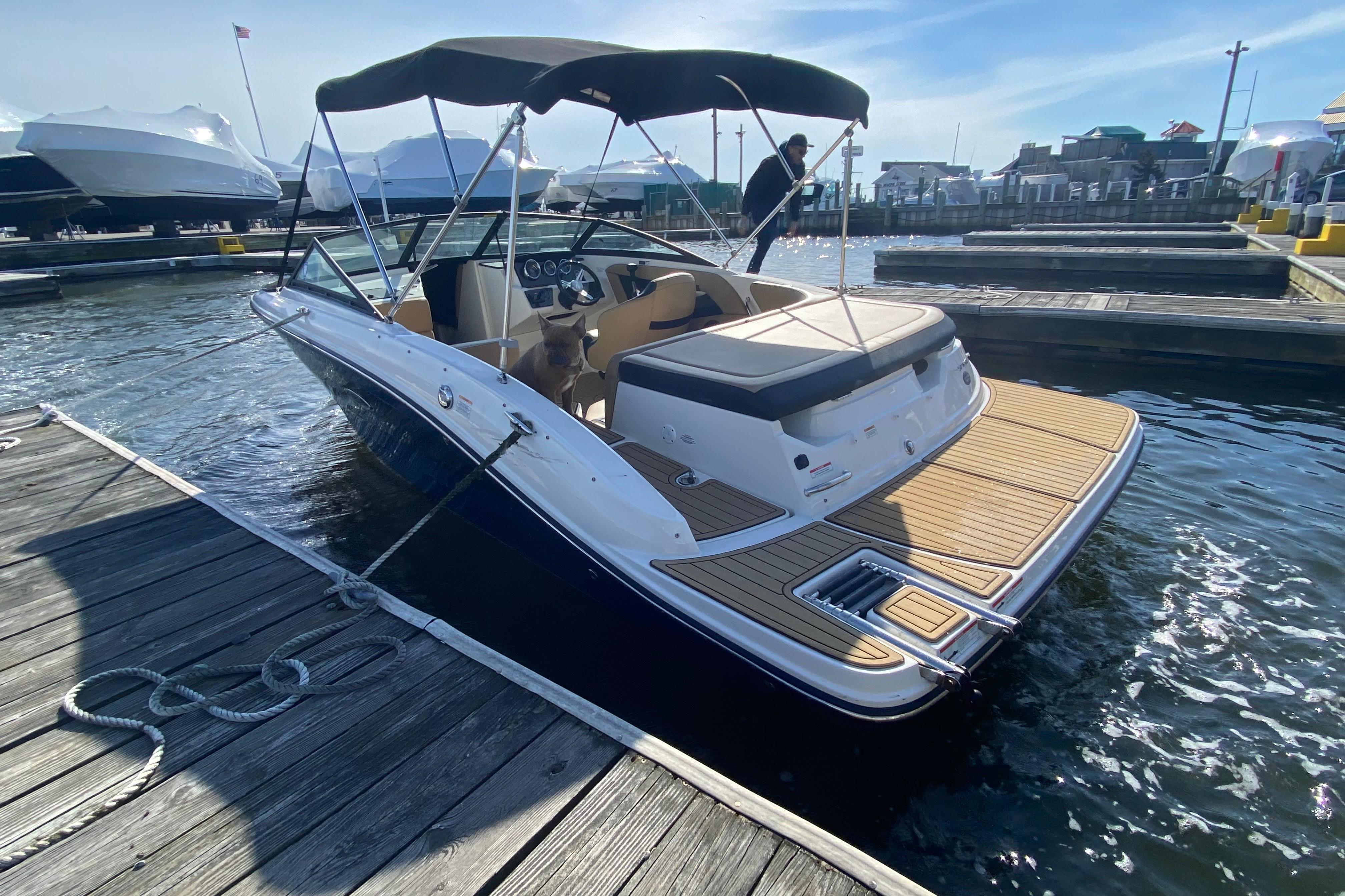 2021 Sea Ray SPX 190 boat docked at marina, featuring sleek design and spacious deck.