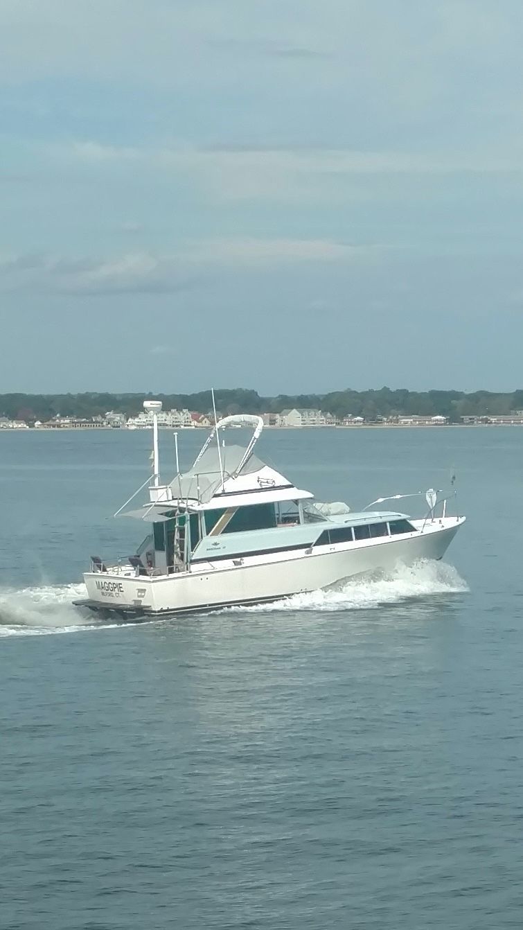 1969 Bertram Caribe boat cruising on calm waters.