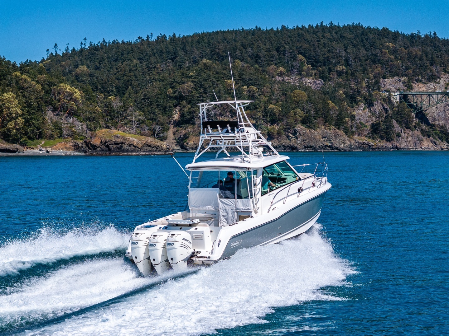 2019 Boston Whaler 345 Conquest - Image 3