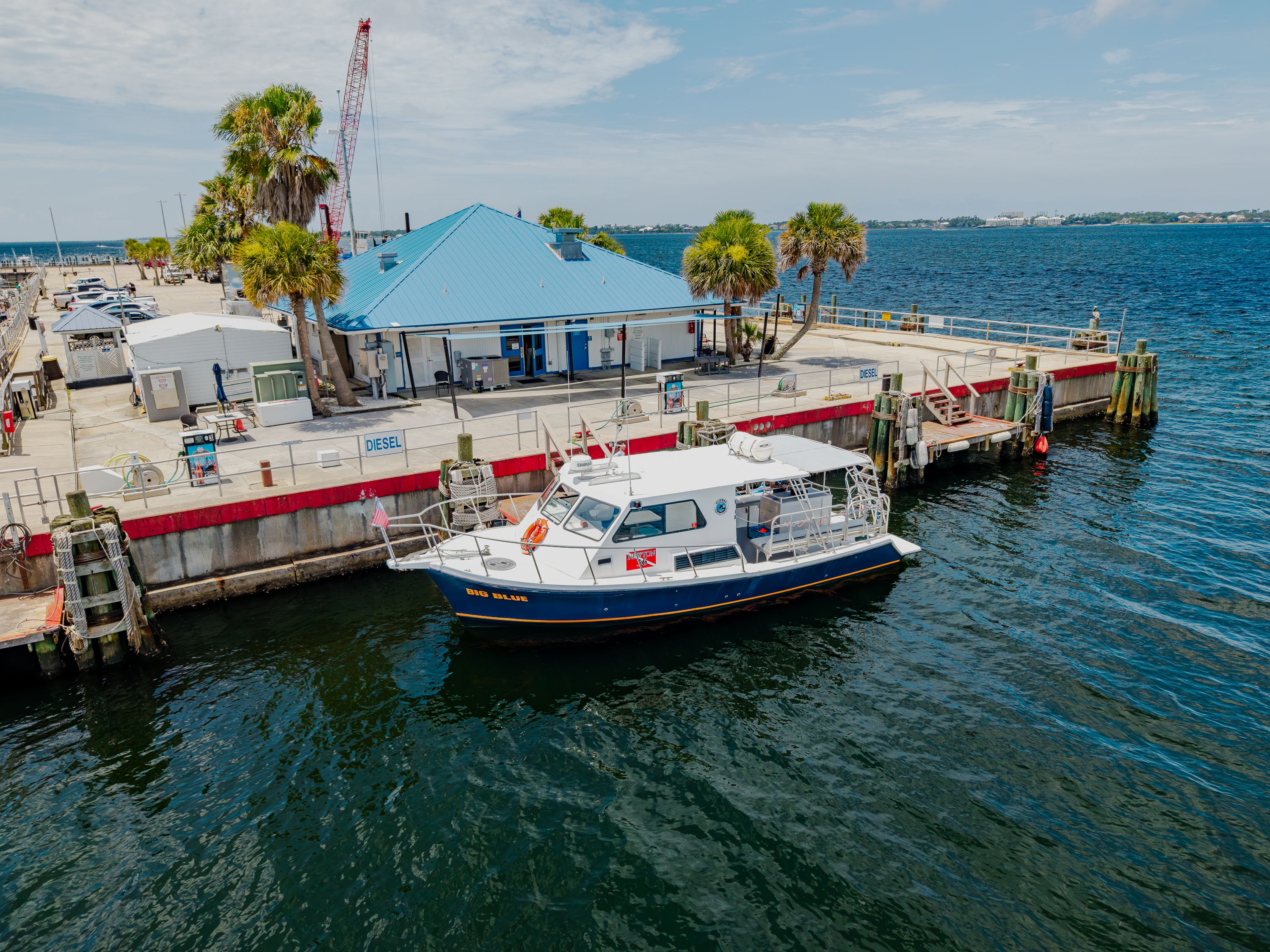 A 2019 Newton 36' Dive Special is docked, surrounded by water and a building.