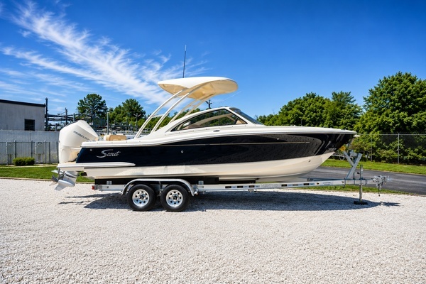 2025 Scout 240 Dorado