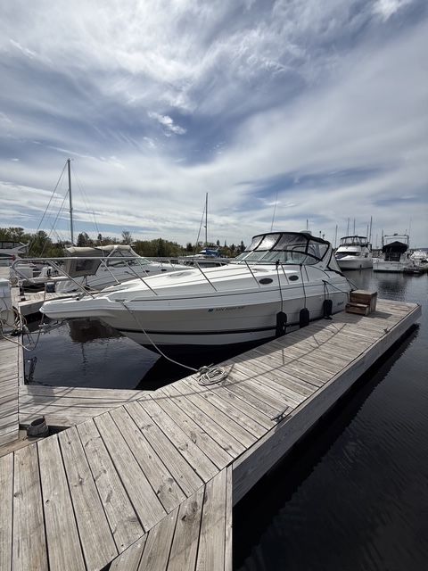1999 Wellcraft 3000 Martinique - 6