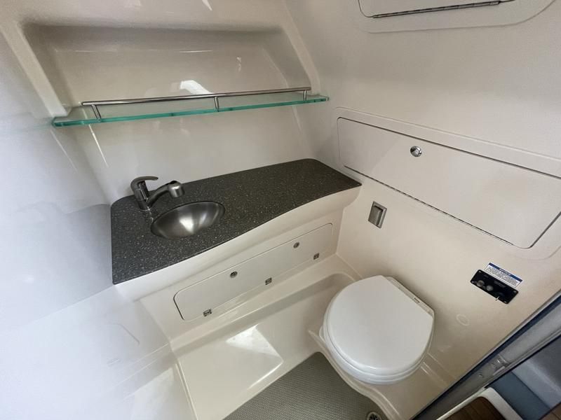 2019 Boston Whaler 315 Conquest - 7