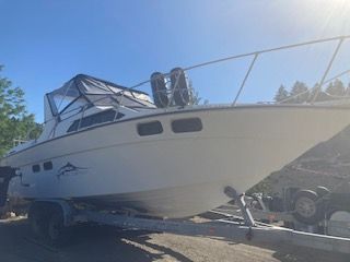 1997 Freedom Blue Fin
