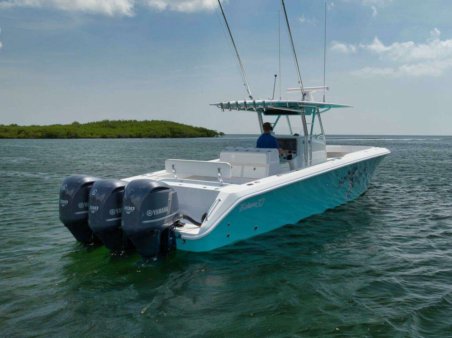2013 Bahama — - Image 21