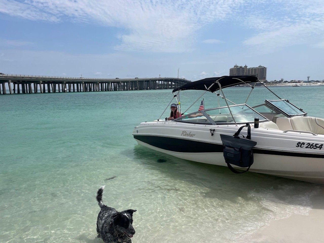 Dog on beach beside Rinker 212 Captiva Bowrider boat, 2002.
