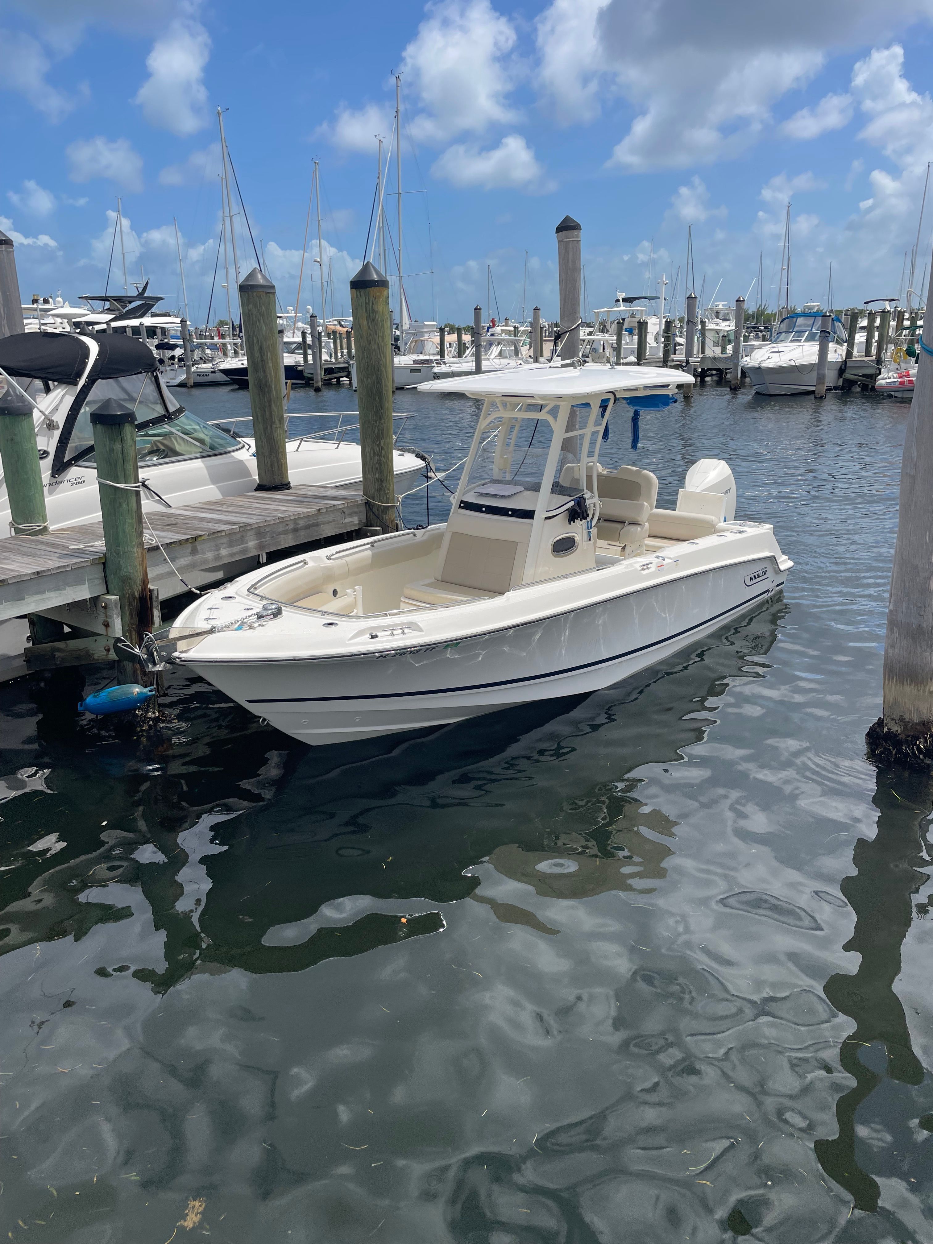 2021 Boston Whaler 230 Outrage - 9