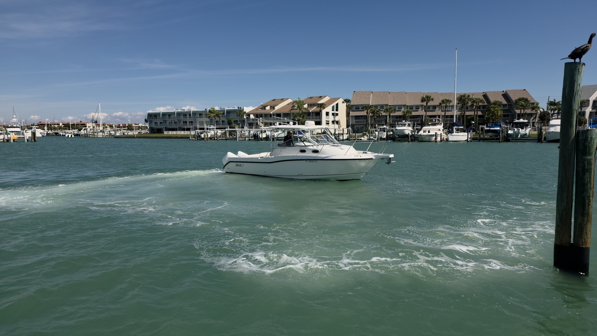 2007 Boston Whaler 305 Conquest - Image 39