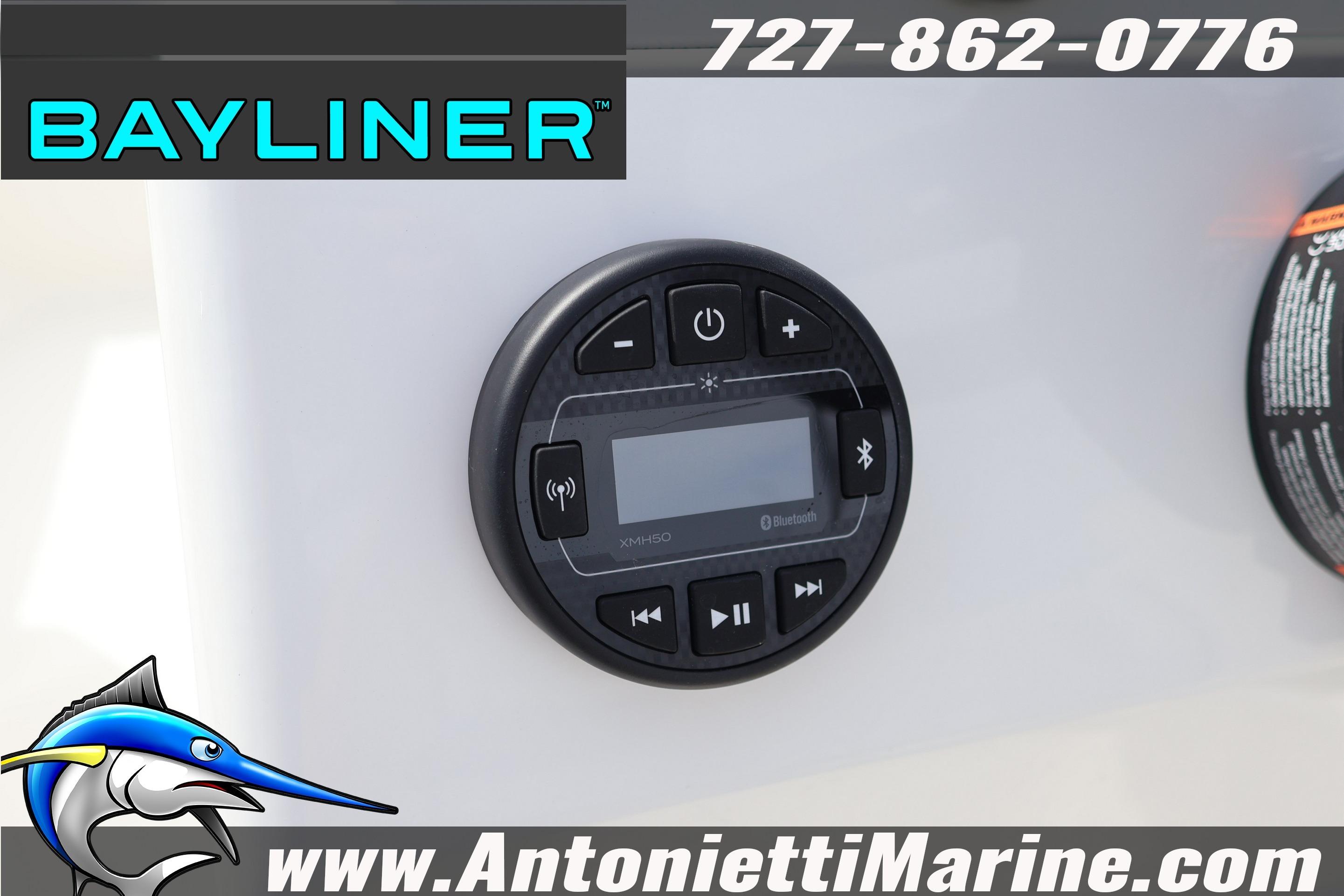 Control panel of 2026 Bayliner Element M17 boat with Bluetooth functionality.