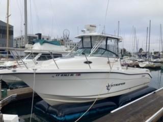 2006 Seaswirl Striper 2601 Walkaround I/O
