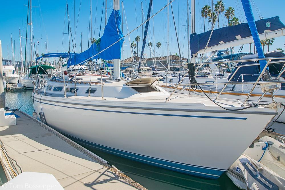 1984 Catalina 36