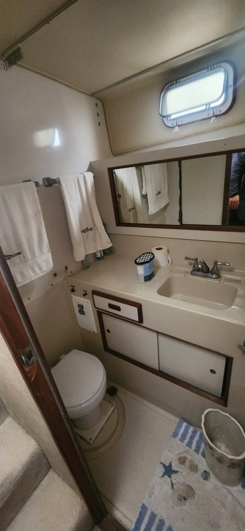 1985 Bertram Flybridge Cruiser - Image 21