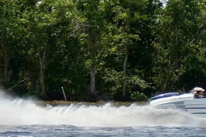 Speedboat RPM REDLINE 2008 cruising on water near lush green forest.