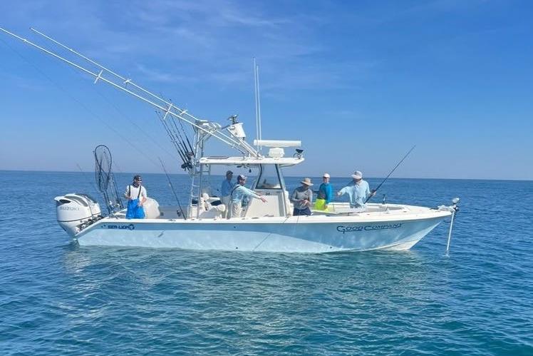 2021 Sealion 34 TE