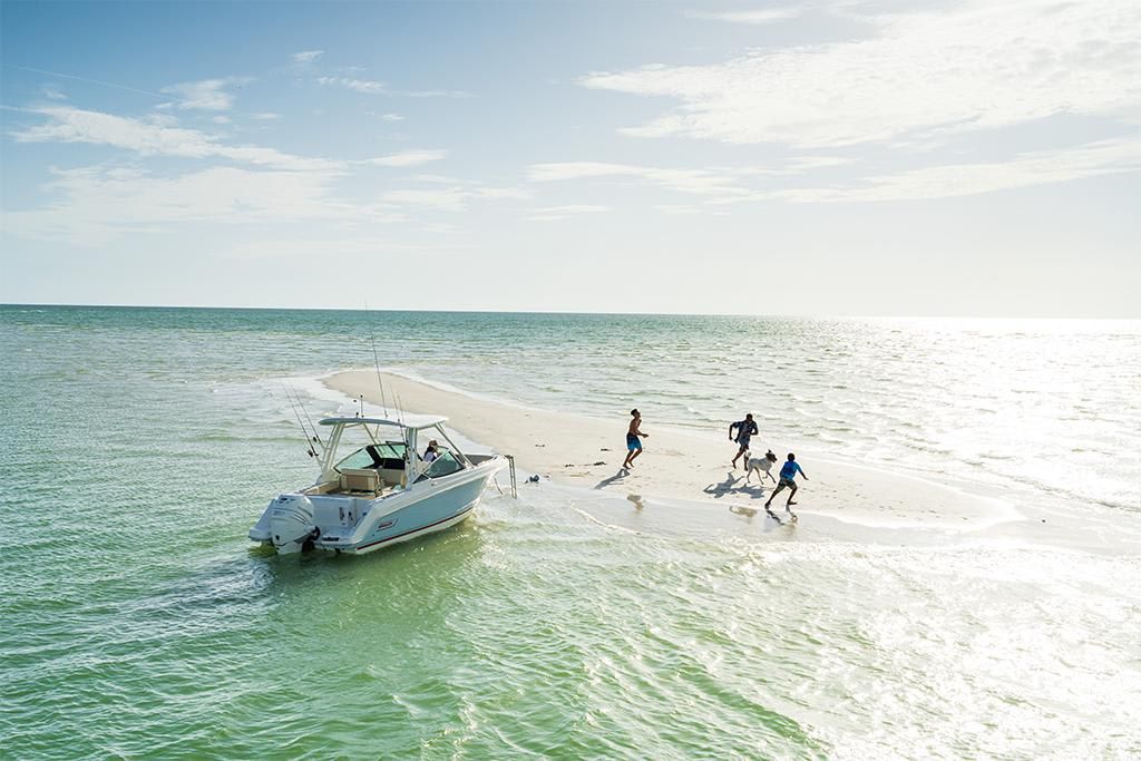 2023-Boston-Whaler-240-Vantage-MarineMax